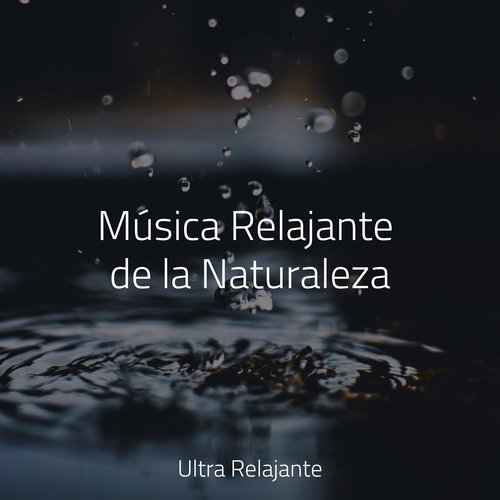 Música Relajante de la Naturaleza