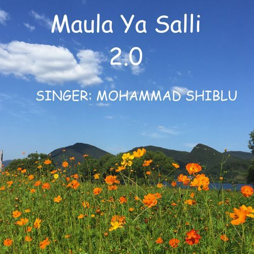 Maula Ya Salli 2.0