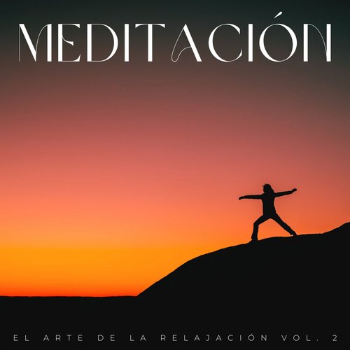 Relajación De Pájaros cover art