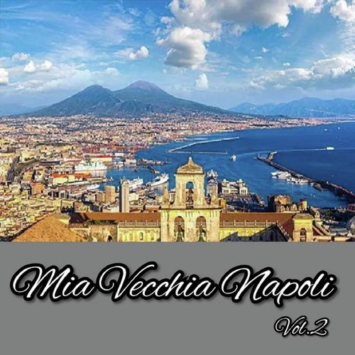 Mia vecchia Napoli, Vol. 2