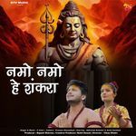 Namo Namo Hey Shankara