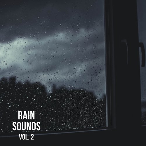 Rain Man Sounds Pt. 9 cover art