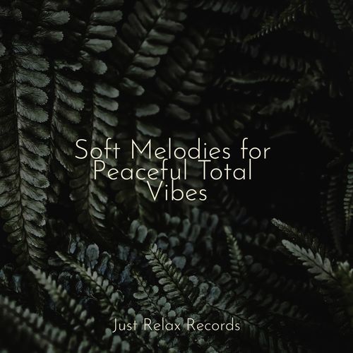Melancholic Zephyr cover art