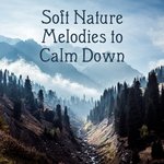 Soft Nature Melodies to Calm Down – Easy Listening Nature Sounds, Time to Rest, Healing Melodies, Spirit Journey