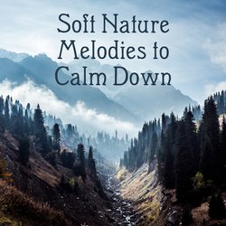 Soft Nature Melodies to Calm Down – Easy Listening Nature Sounds, Time to Rest, Healing Melodies, Spirit Journey