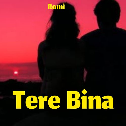 Tere Bina