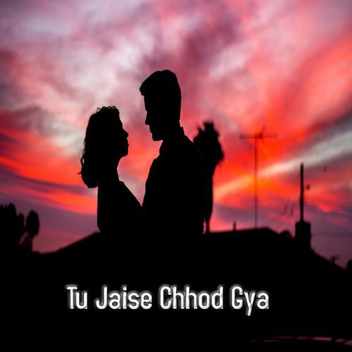 Tu Jaise Chhod Gya