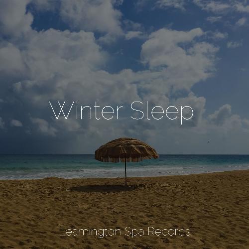 Winter Sleep