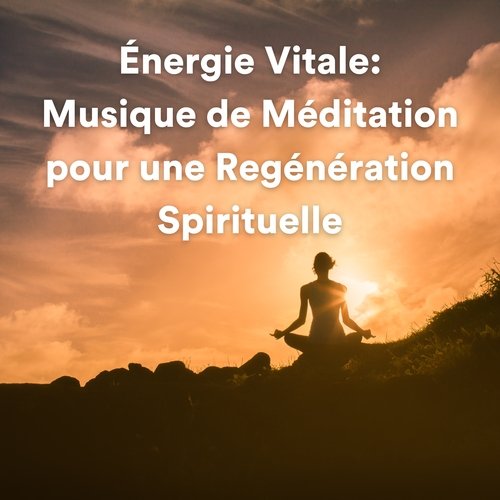 Énergie vitale : musique de méditation pour une regénération spirituelle (Musique de détente et de méditation)_poster_image