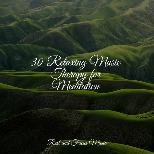 30 Relaxing Music Therapy for Meditation