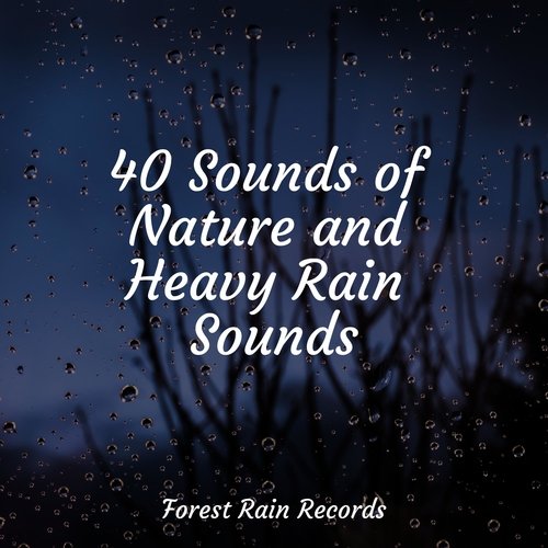 Rain, Storm and Thunder cover art