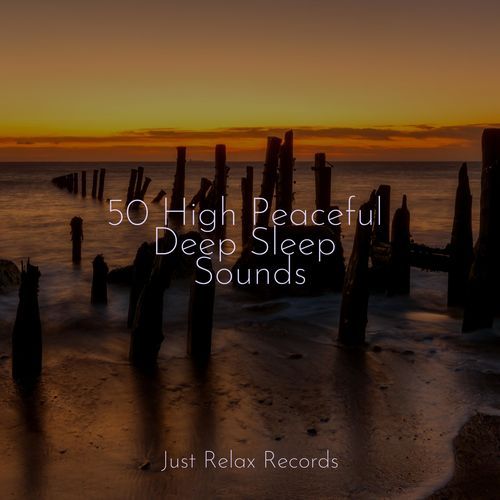 50 High Peaceful Deep Sleep Sounds_poster_image