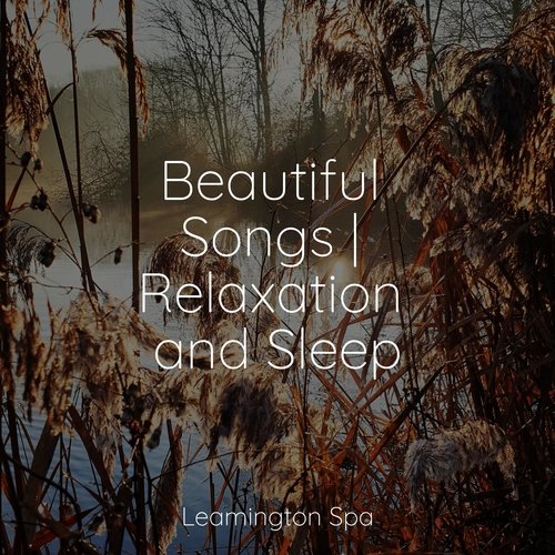 Sleep Music cover art