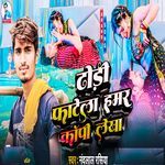 Dhodhi Fatela Hamar Coppy Lekha