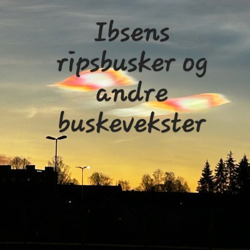 Ibsens ripsbusker og andre buskevekster cover art