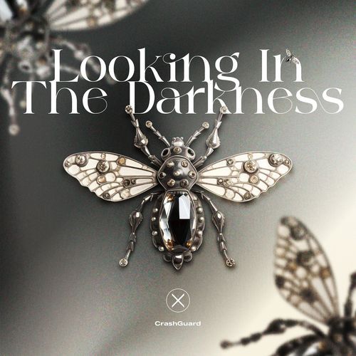 Looking in the Darkness cover art