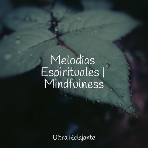 Melodías Espirituales | Mindfulness