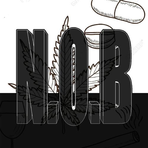 N.O.B (Original Mix)_poster_image