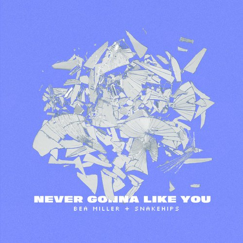 NEVER GONNA LIKE YOU_poster_image