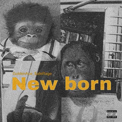 NEW BORN cover art