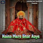 Naina Mere Bhar Aaye