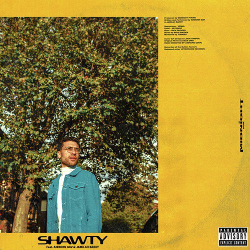 Shawty_poster_image