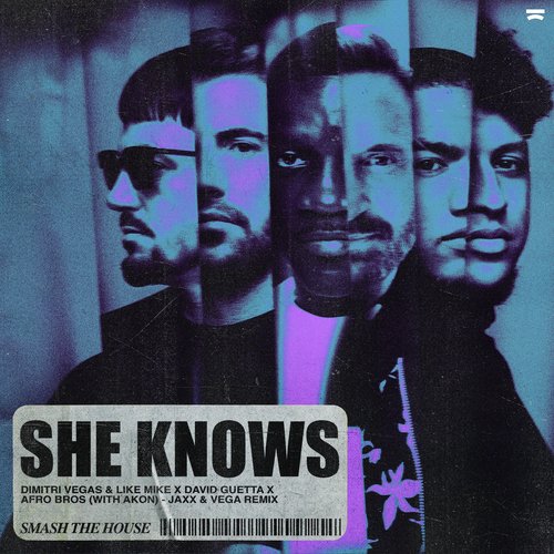 She Knows (with Akon) (Jaxx & Vega Remix)