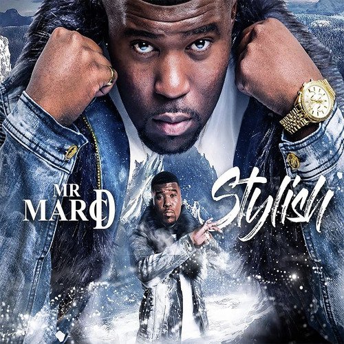 Stylish cover art