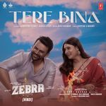 Tere Bina (From &quot;Zebra&quot;)