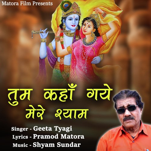 Tum Kaha Gaye Mere Shyam