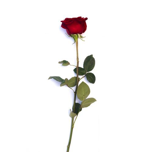You