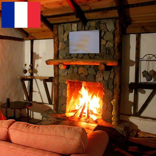 Ambiance d'un Feu de Cheminée avec une Horloge