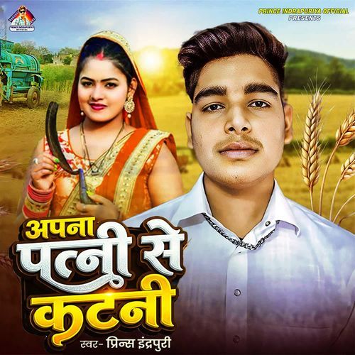 Apana Patni Se Katani