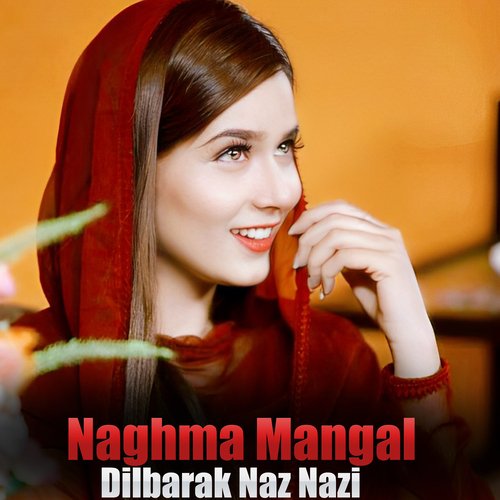 Dilbarak Naz Nazi_poster_image