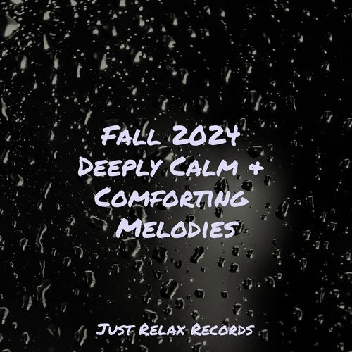 Fall 2024 Deeply Calm & Comforting Melodies