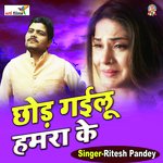Jab se chodh gayla hamra ke (Bhojpuri sad song)