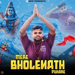 Mere Bholenath Pukare