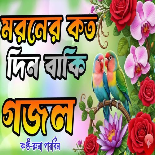 Moroner Koto Din Baaki Ami Janilam Na Go