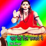 Nath Mera Dil Samjave Ne