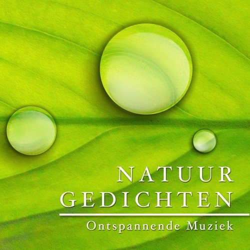 Rustgevende Muziek Dream Masters cover art