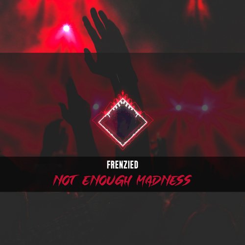 Not Enough Madness cover art
