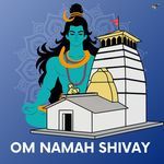 Om Namah Shivay