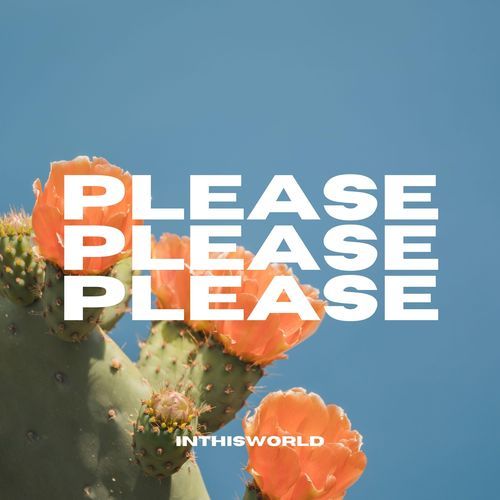 PLEASE PLEASE PLEASE (DnB) cover art