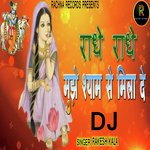 RADHE RADHE MUJHE SHYAM SE MILA DE (DJ)