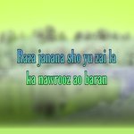 Raza janana sho yu zai la ka nawrooz ao baran