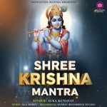 Shree Krishna Mantra
