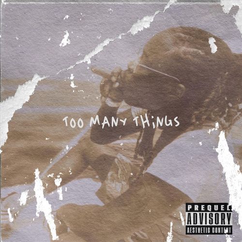 Too Many Things