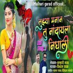 Tuzya Manan Tu Nandayla Nighali