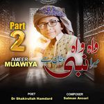 Wah Wah Mera Nabi Sultan Hai