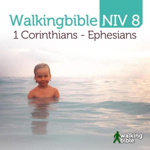 Walkingbible Niv 8, 1 Corinthians - Ephesians